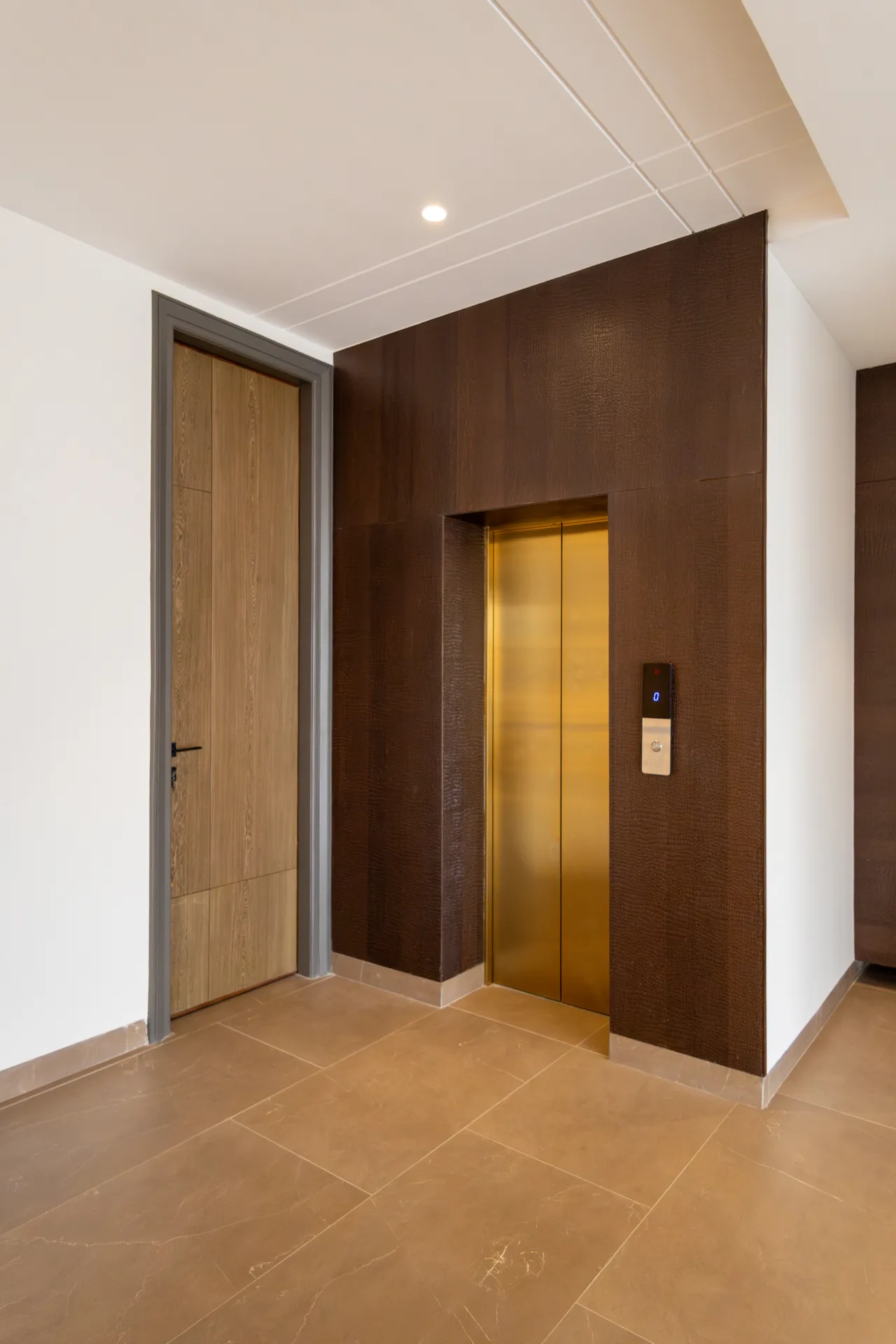 Sector 79 Kothi Private Elevator Foyer